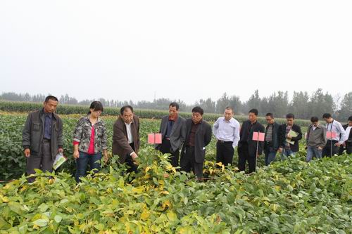 陜西農(nóng)墾大華種業(yè)有限責(zé)任公司舉辦大豆新品種觀摩及技術(shù)培訓(xùn)會(huì)