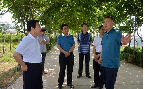翟玉寶縣長(zhǎng)來省直農(nóng)墾大荔農(nóng)場(chǎng)調(diào)研墾地共建工作